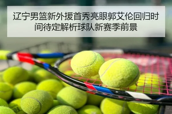 辽宁男篮新外援首秀亮眼郭艾伦回归时间待定解析球队新赛季前景